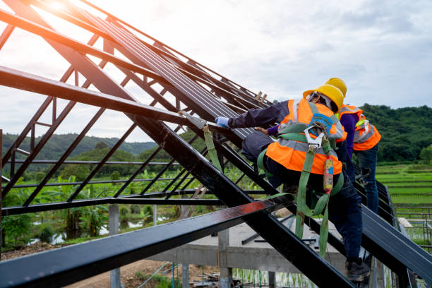 Best Metal Roofing Contractor  in Minden, NV