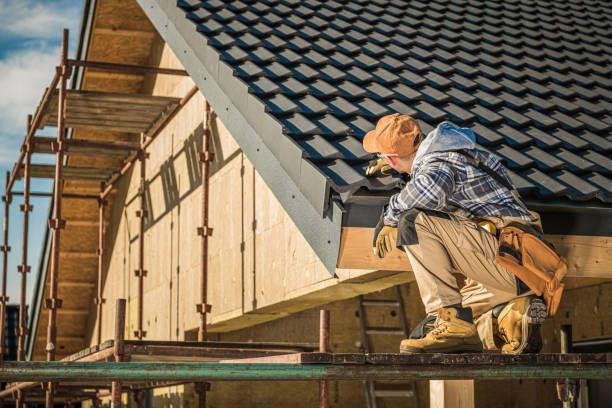 Best Roof Repair Services  in Minden, NV