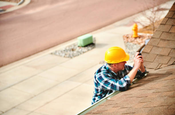 Best Roof Gutter Cleaning  in Minden, NV